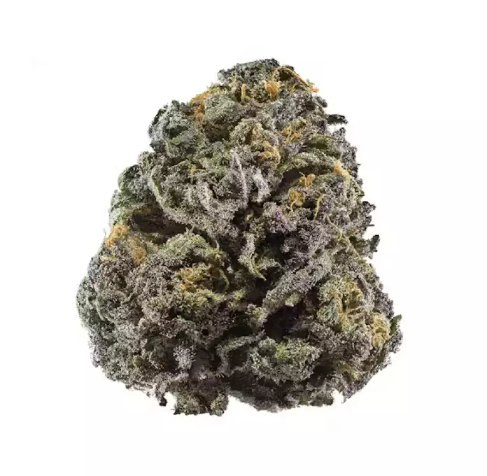 GRAND DADDY PURPLE