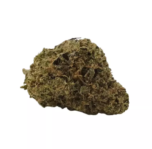 RAINBOW TROPICAL BELTS